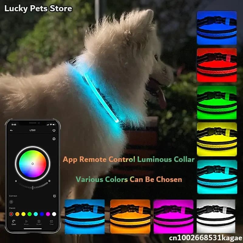 LED Hundehalsband – Leuchtend & Wasserdicht