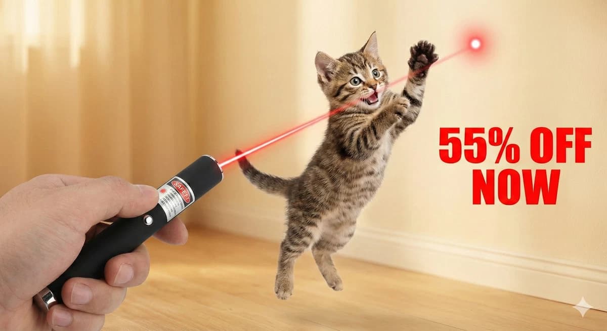 Interaktives Katzenspielzeug mit Feder & LED - Bild 4